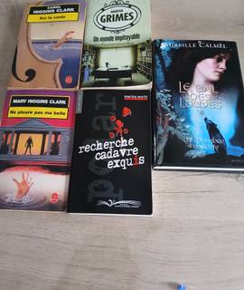 Livres-Revues 5 livres poches et broche