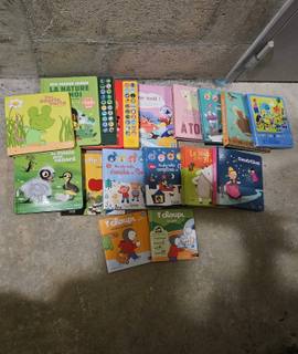 Livres-Revues des livres premier age