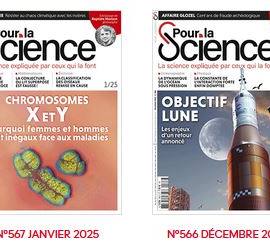 Livres-Revues plusieurs années de n° de Pour la science, récents