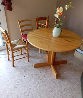 Meubles table en pin