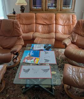 Meubles canapé cuir marron Stressless