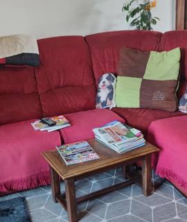 Meubles un canapé d'angle en très bon état