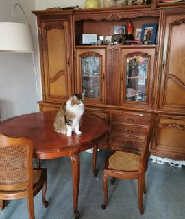 Meubles 1 buffet - 1 table avec ses 6 chaises