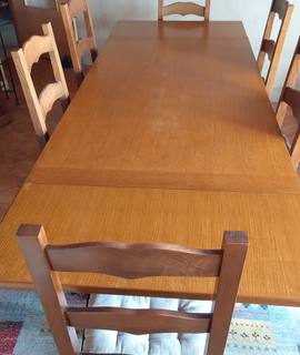 Meubles table 160 plus chaises