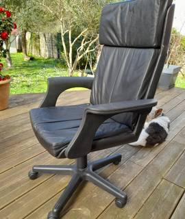 Mobilier fauteuil de bureau