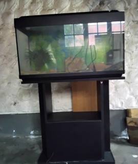 Mobilier donn aquarium