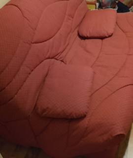 Mobilier canapé convertible avec housse a fermetures éclairs.