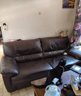Mobilier donbe divan