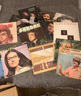 Musique, CD, Vinyle disques Vinyle variétés française et classique