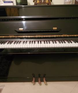 Musique, CD, Vinyle Piano Droit Calisia