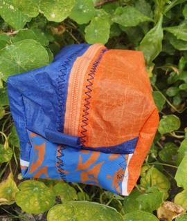 Sport voile de kitesurf et Wing foil