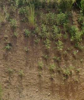 Terre et gravats de terre végétale