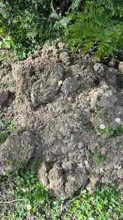 Terre et gravats terre végétale