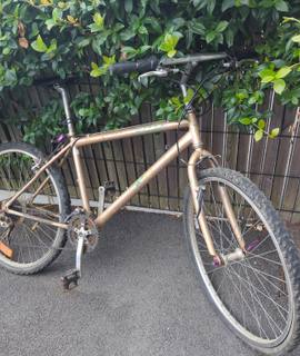 Vélo vélo adulte